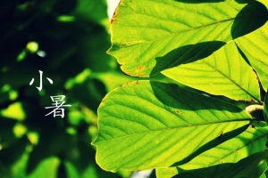 小暑节气5大禁忌